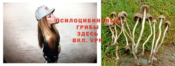 тгк Наволоки