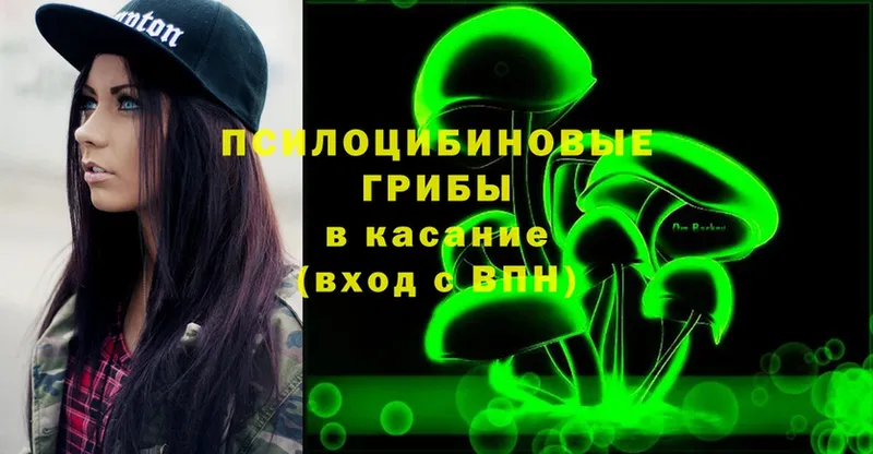 купить закладку  Дрезна  Псилоцибиновые грибы Psilocybine cubensis 